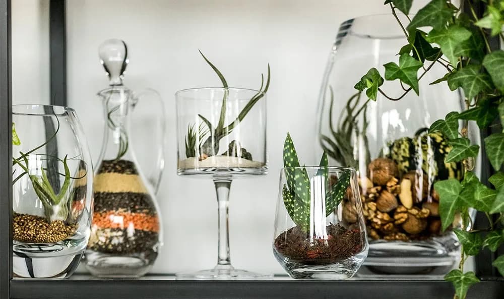 Jakie ozdoby na parapet wywołają zachwyt? Inspiracje, porady i pomysły.