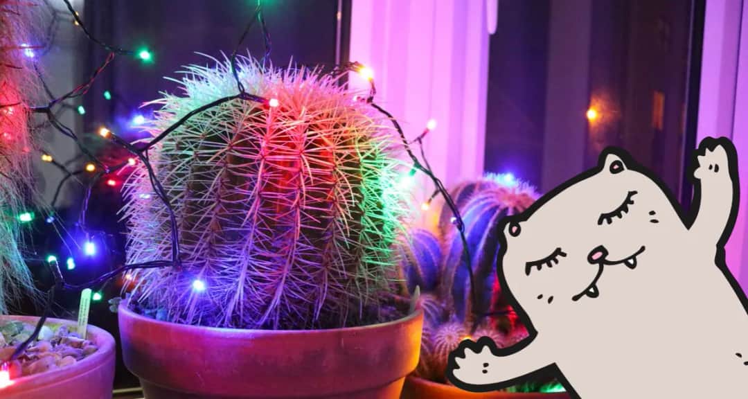 Jak udekorować okno lampkami - kreatywne pomysły i bezpieczne metody